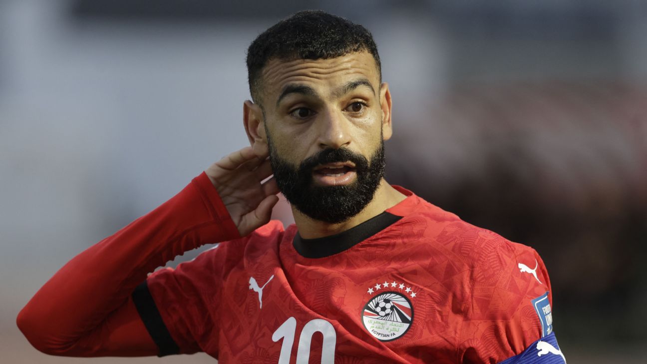 FIFA要求埃及世界杯球衣去掉七颗星　EFA称属常规通知